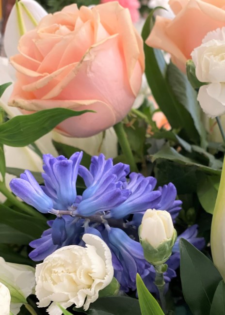 Obituary of Judy Jean Martin