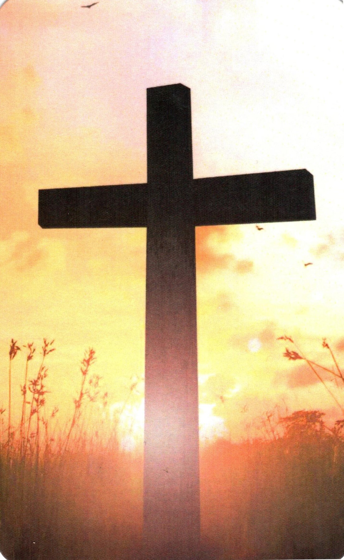 Obituary of Gertrude Dove Roat