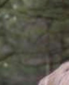 Michael Anderson Obituary Sarasota, FL