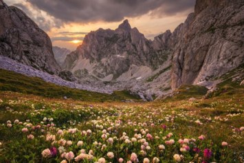 Obituary of Craig C. Edelman