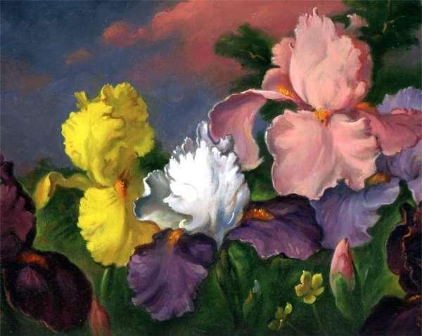 Obituary of Grace Free Parkhill