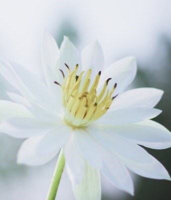 Obituary of Eileen Lois Fandrey