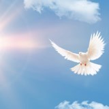 Obituario de Ana Elva Fuentes Ramos