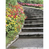 Obituary of Evelyn J. Foster