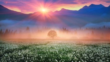 Obituary of Victor Varela