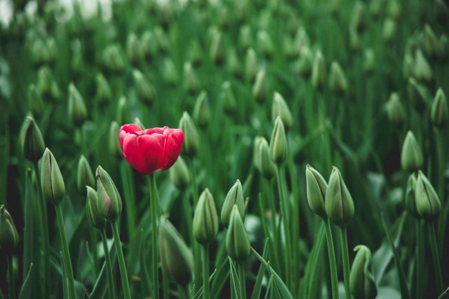 Obituary of Nayra Edith Campa