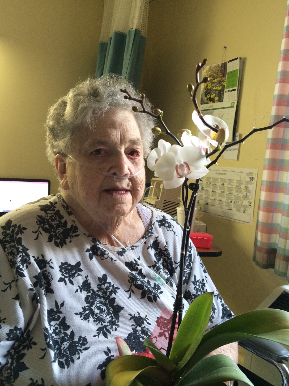 Obituary of Agnes Jane Schleuss