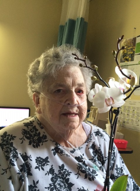 Obituary of Agnes Jane Schleuss