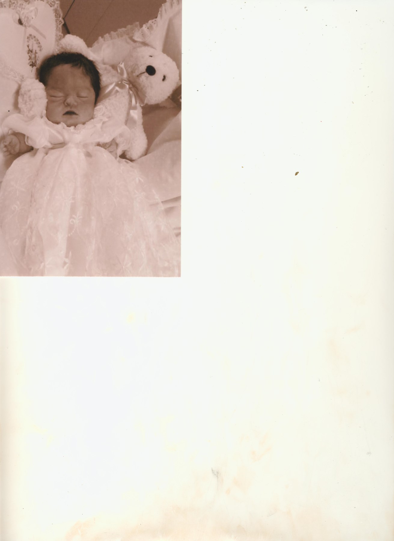 Obituary of Sophia Isabella Padilla