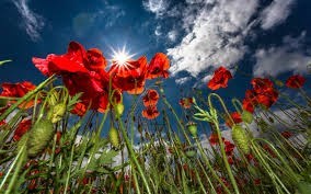 Obituary of Margaret Chabina