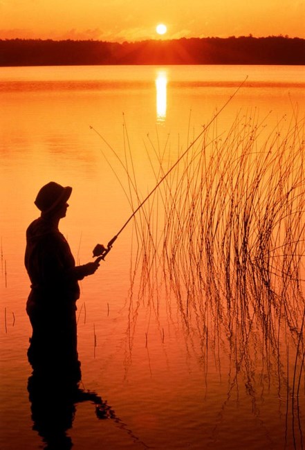 Obituary of Francis Andrew Maun