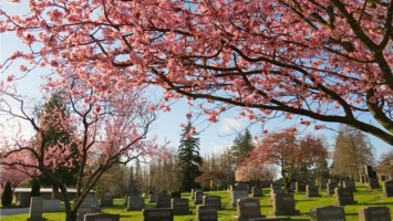 Obituary of Thuc Chi Nguyen