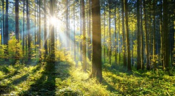 Obituary of James David Campbell