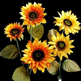 Obituary of Jennie Lee Mcewen