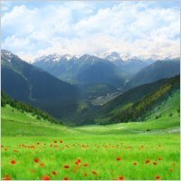 Obituary of George Curtis Oliphant