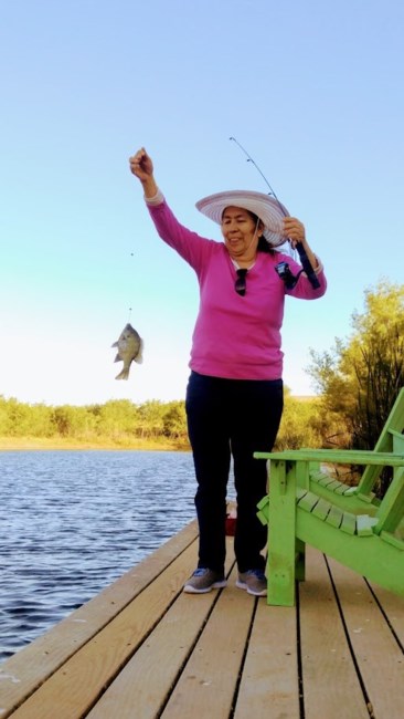 Obituary of Carmen Peña Briseño