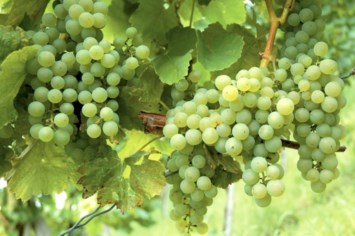 Obituario de Donald Gene Klein