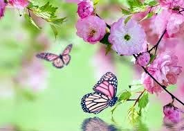 Obituary of Joyce Mancini