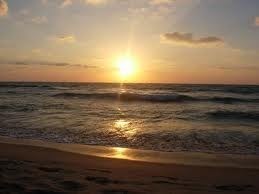 Obituary of Dr. Edward Fischel