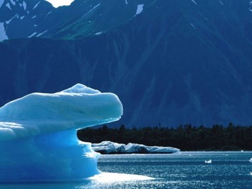 Obituary of Adele Cecelia Perruna