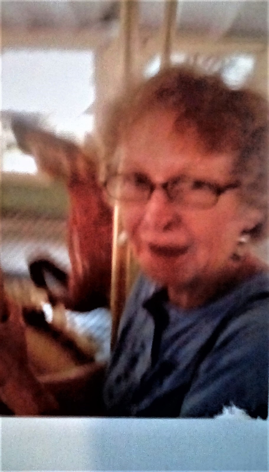 Obituary of Fay Ryan