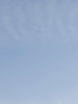 Jay Reed Obituary - Clearwater, FL