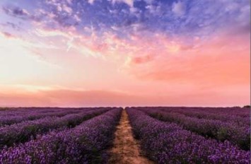 Obituary of Virginia A. Gilmore