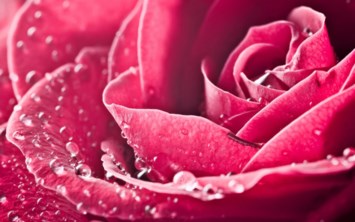 Obituary of Janice Mae Mello