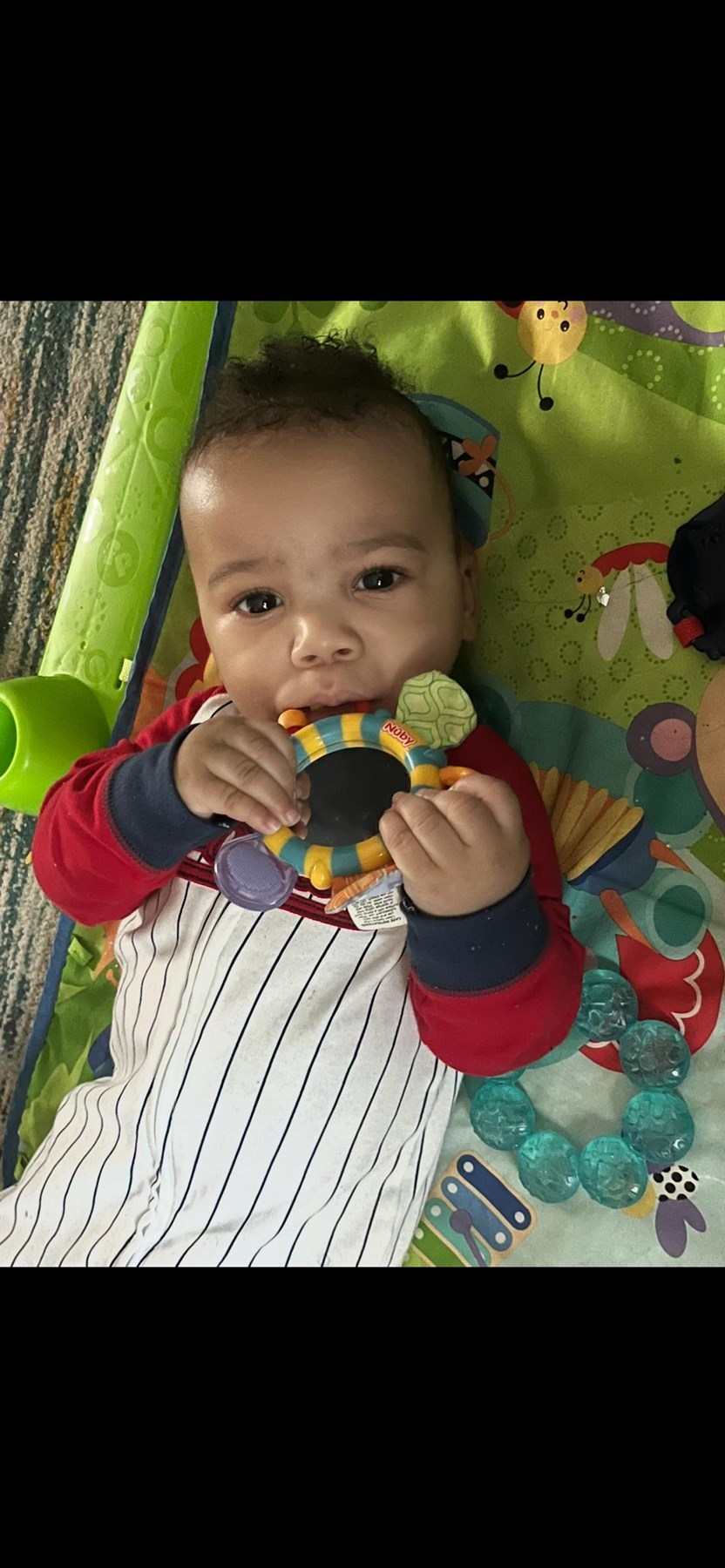 Obituary of Adonis Aristotle Terry