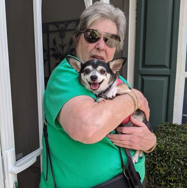 Obituary of Susa'n Rae Page