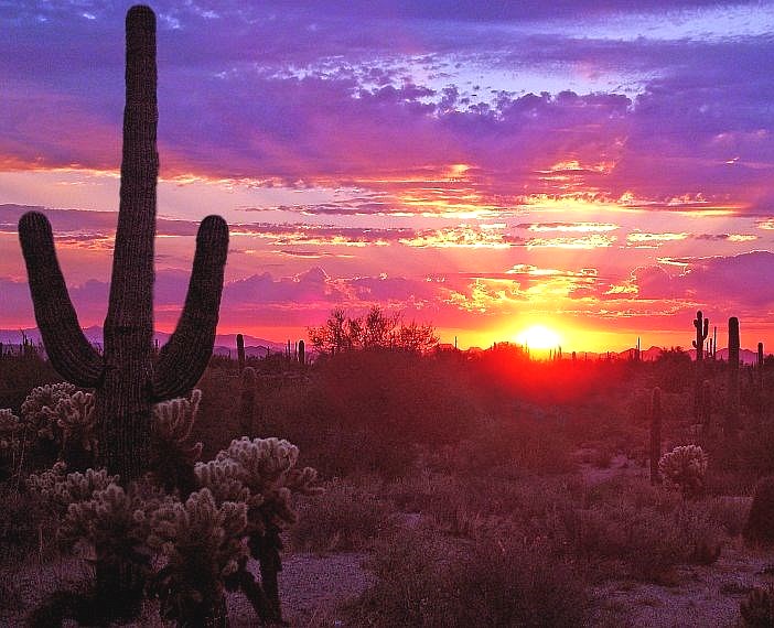 Obituary of Charles Wallace Foster