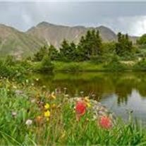 Obituary of Cecil Clyde Hill