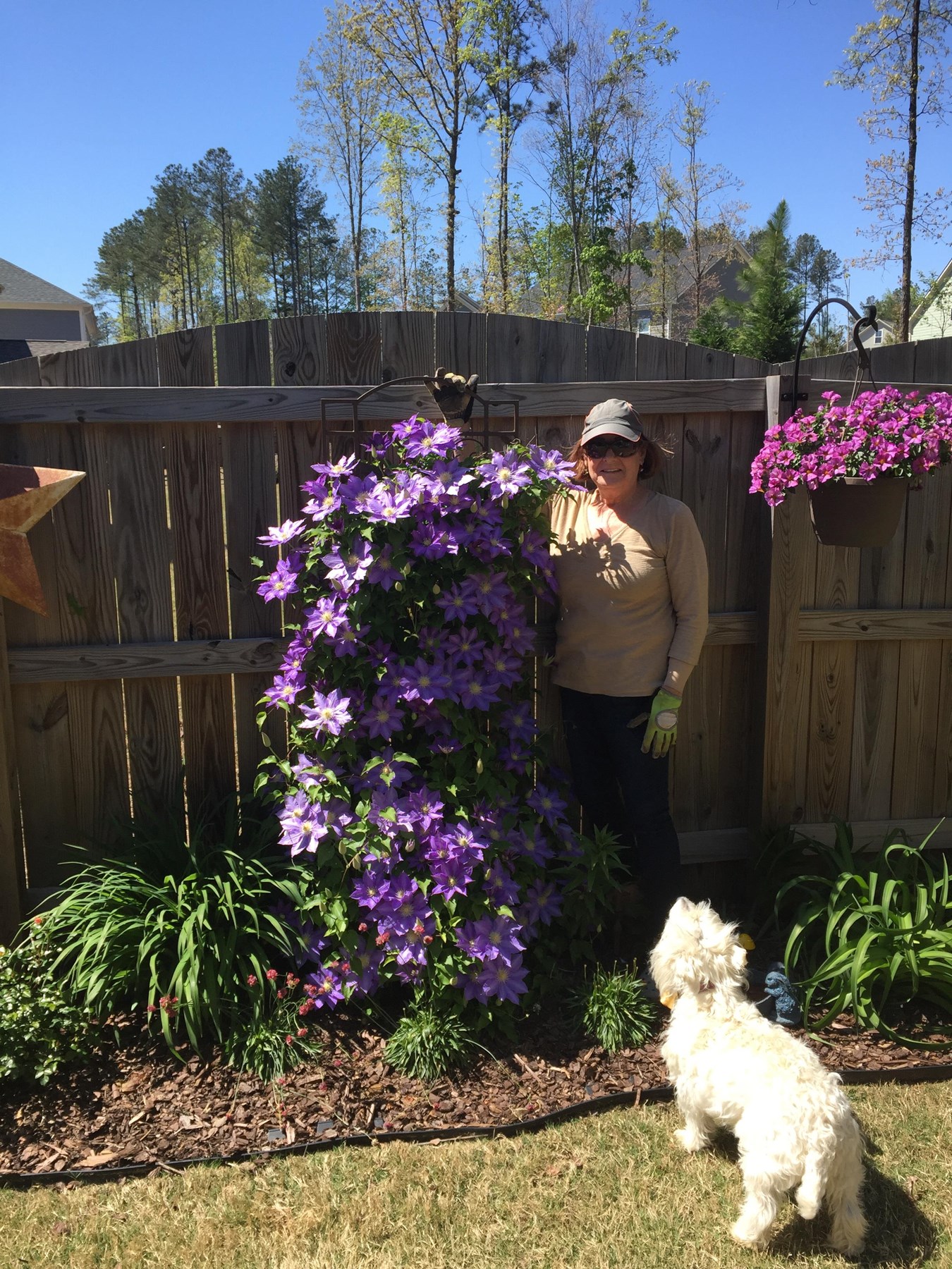 Obituary of Patricia (Patti) Lee Potter