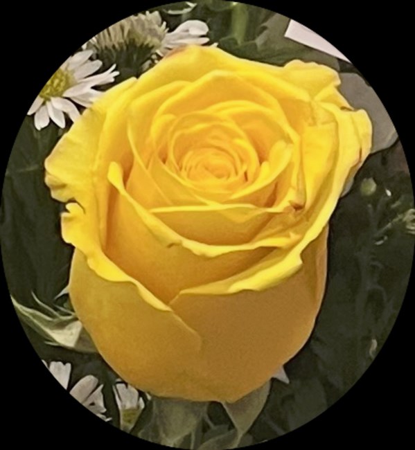 Obituary of Janet Kamps