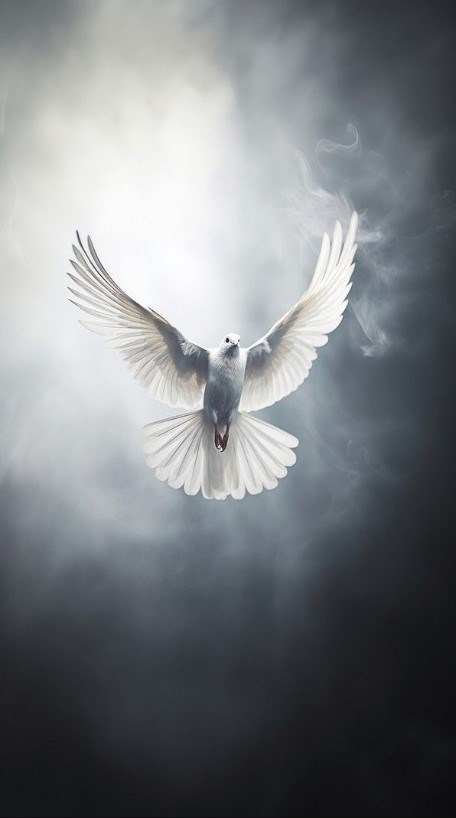 Obituary of Alfredo Rodriguez