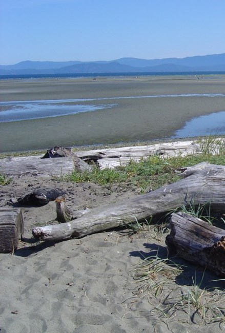 Obituary of David Glen McCONNELL