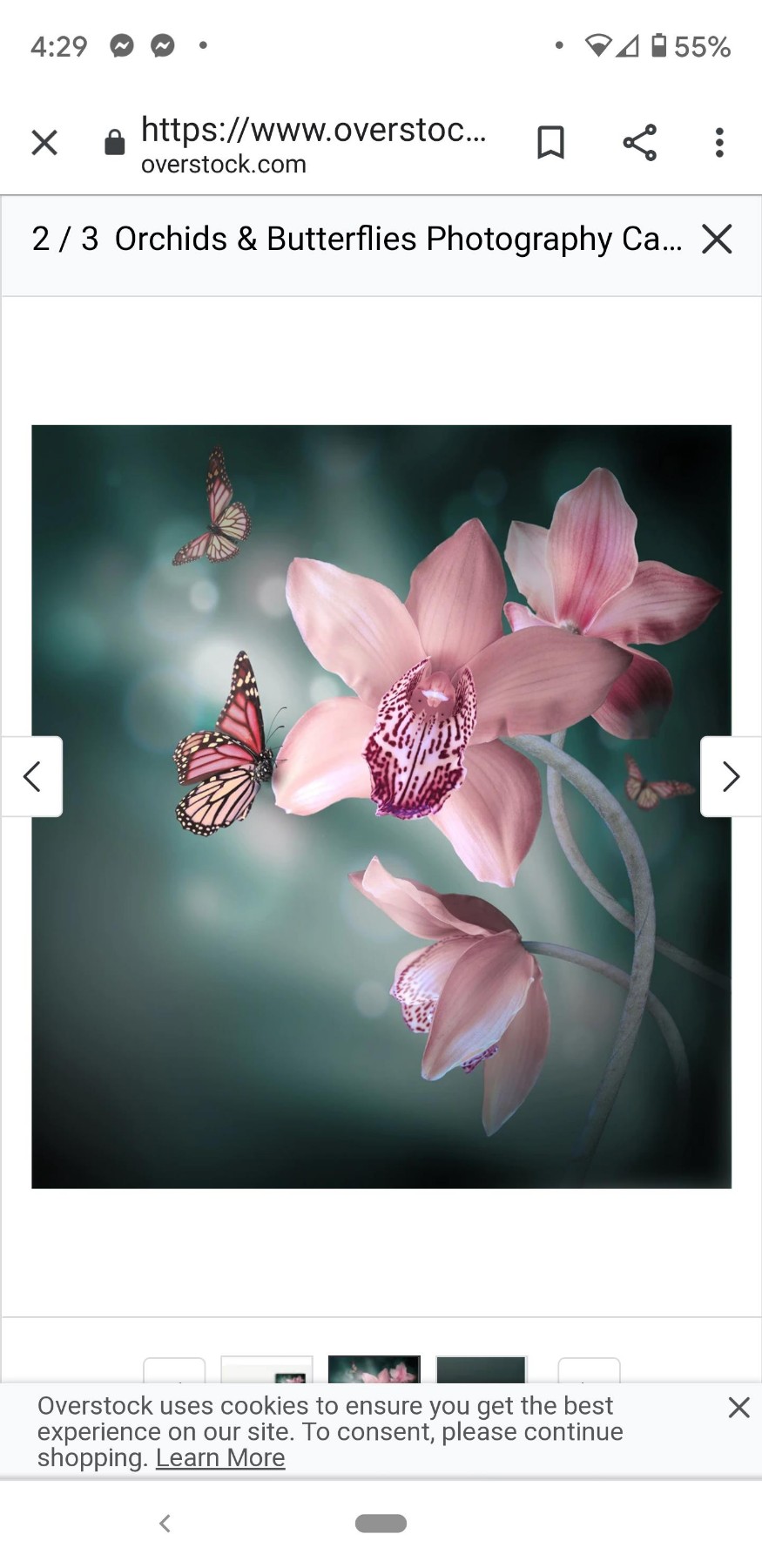 Obituary of Leona Pierce Wooten