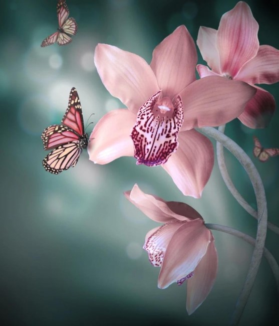 Obituary of Leona Pierce Wooten