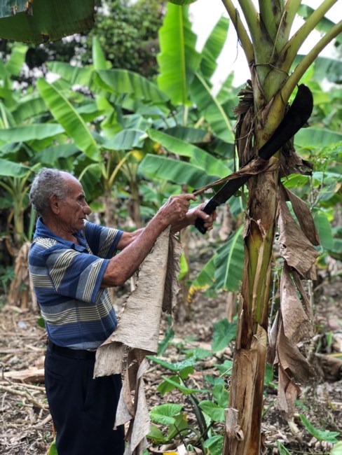 Obituary of Pedro Sánchez Suárez