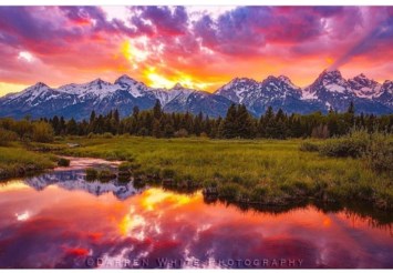 Avis de décès de Richard Wilder Bundy