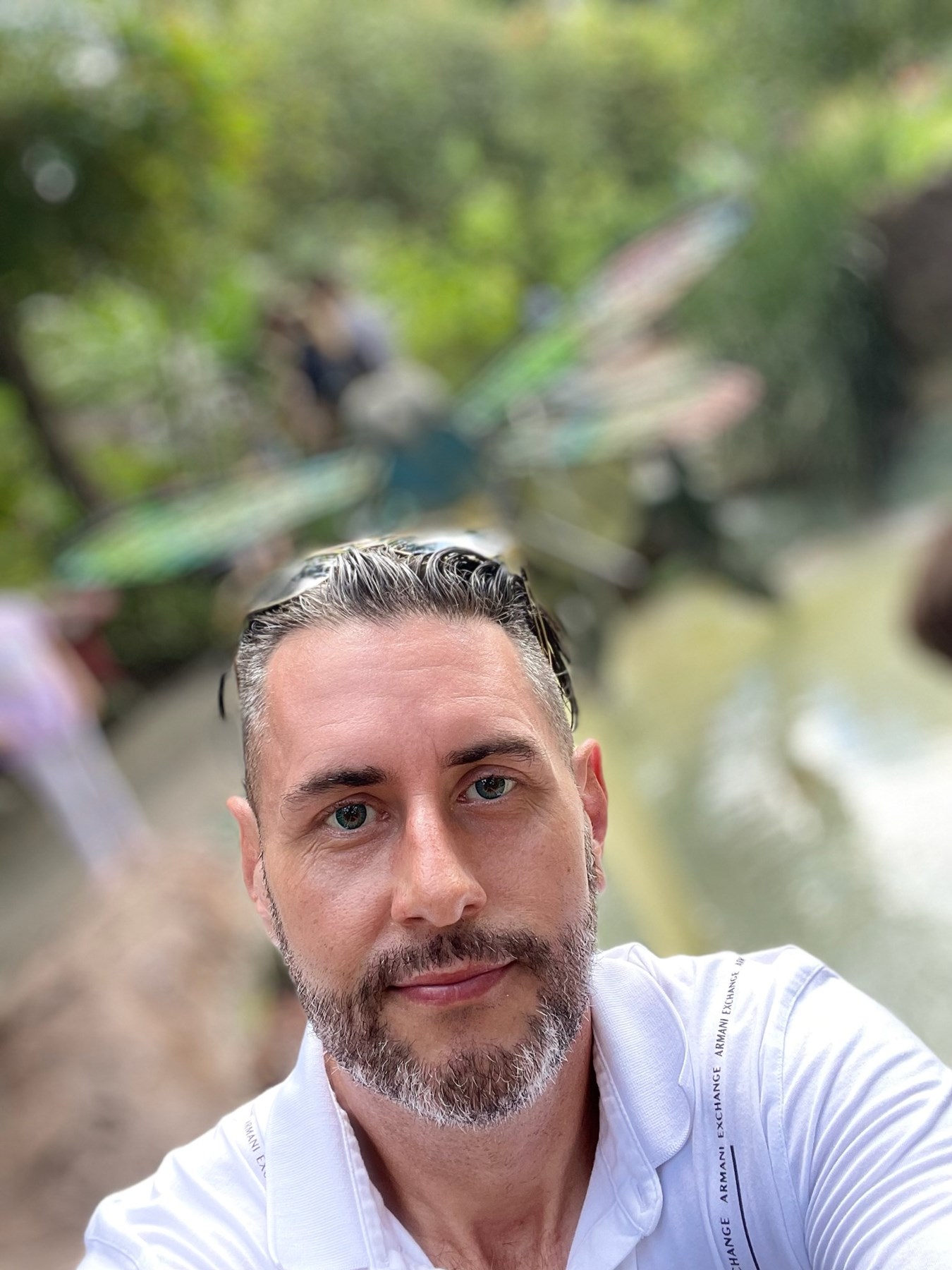 Obituary of David Aaron Veber