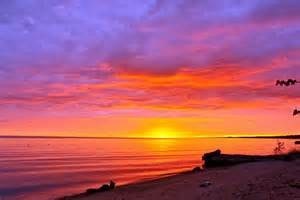 Obituary of Teresa Marie Saad