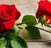 Obituary of Miguel Rosario