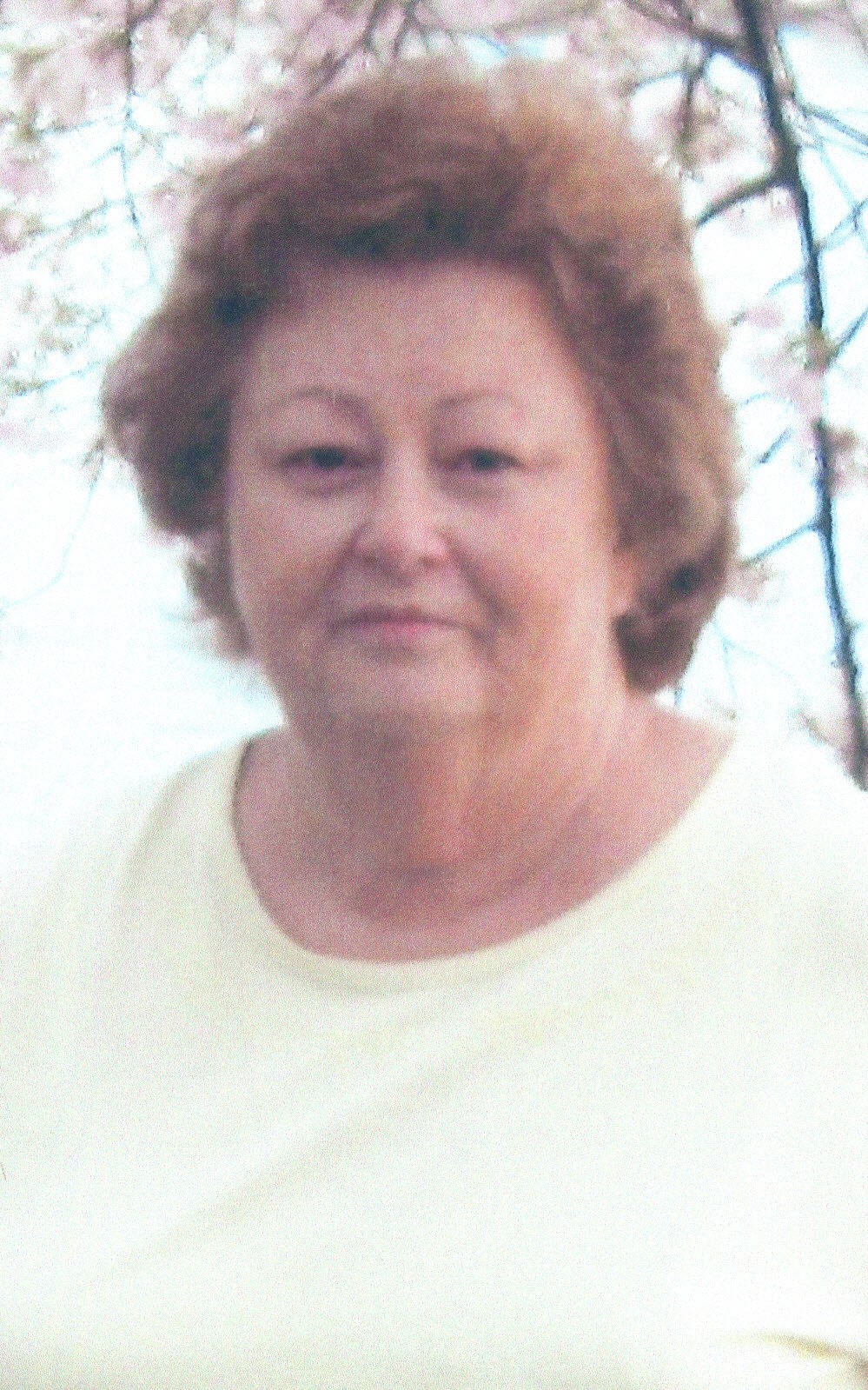 Obituary of Linda Lee Hardin