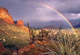 Obituary of Mike Lee Riedel