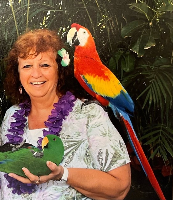 Obituary of Patricia Lou Diott Sisco