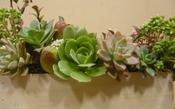 Obituary of Mr. Paul Joseph Lincoln Bullock