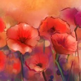 Obituary of Barbara Byrd