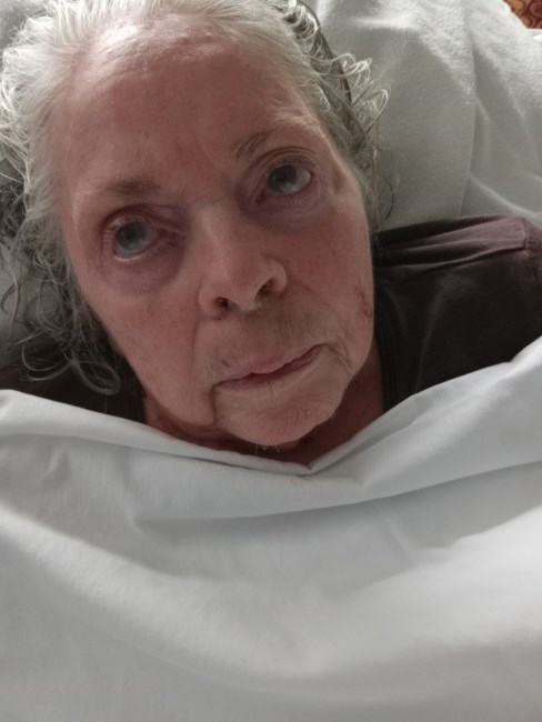 Obituary of Terrie L Haddan