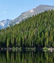 Obituary of Thomas Joseph Arnemann